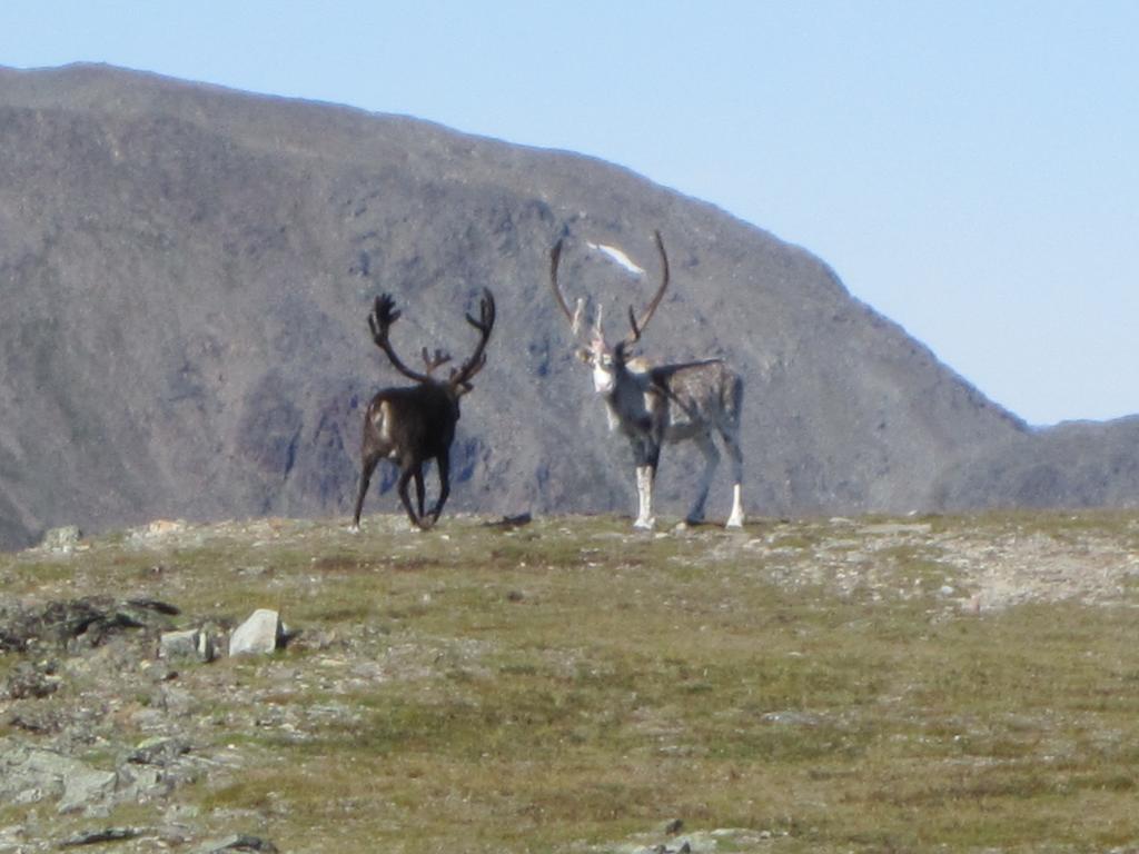 Utsikten Feriehus I Bakkeby Экстерьер фото